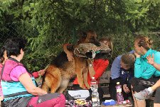 179165951830778900.jpg | Chovatelská stanice Daxis