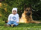 galerie.jpg | Chovatelská stanice Daxis